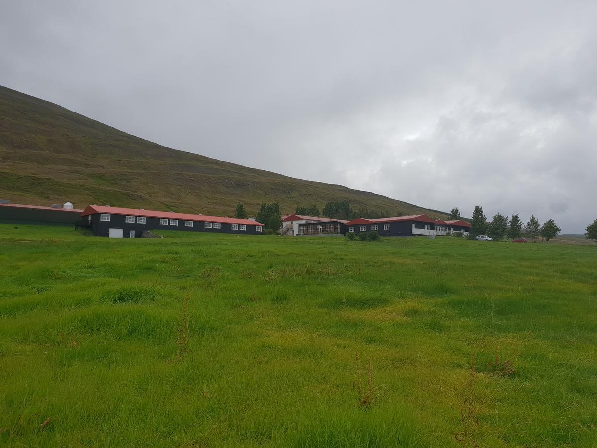 Hotel Sveinbjarnargerdi Svalbarthseyri Ngoại thất bức ảnh